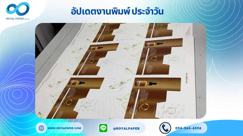 อัปเดตงานพิมพ์เดี่ยว วันที่ 20 พ.ค. 67 กล่องบรรจุเซรั่ม ใช้กระดาษพิมพ์อาร์ตการ์ด 350 แกรม ขนาด 25x18 นิ้ว พิมพ์ด้วยระบบ OFFSET 4 สี เคลือบด้าน ไดคัท ปะกาว 1 จุด พร้อมขึ้นรูป พิมพ์จำนวน 2,500 ใบ