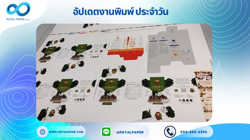 อัปเดตงานพิมพ์ร่วม วันที่ 13 มิ.ย. 67 กล่องใส่ซองผงโรยข้าว กล่องซันครีม กล่องครีม ใช้กระดาษอาร์ตการ์ด 350 แกรม ขนาด 28x20 นิ้ว พิมพ์ด้วยระบบ OFFSET 4 สี เคลือบด้าน สปอตยูวี ไดคัท ปะกาว 1 จุด พร้อมขึ้นรูป พิมพ์จำนวน 1,000 ใบ