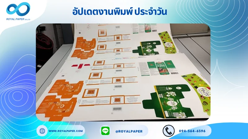 อัปเดตงานพิมพ์ร่วม วันที่ 17 มิ.ย. 67 กล่องครีมบำรุงผิว กล่องเซรั่ม กล่องใส่ขวดเจล กล่องยาหม่อง ปลอกแก้ว ใช้กระดาษอาร์ตการ์ด 350 แกรม ขนาด 28x20 นิ้ว พิมพ์ด้วยระบบ OFFSET 4 สี เคลือบเงา ไดคัท ปะกาว 1 จุด พร้อมขึ้นรูป พิมพ์จำนวน 1,000 ใบ