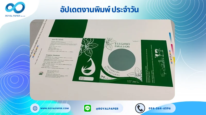 อัปเดตงานพิมพ์เดี่ยว วันที่ 4 ก.ค. 67 กล่องบรรจุภัณฑ์เจาะหน้าต่าง ใช้กระดาษอาร์ตการ์ด 350 แกรม ขนาด 15.5x14.33 นิ้ว พิมพ์ด้วยระบบ OFFSET 4 สี เคลือบเงา ปั๊มนูน สปอตยูวี ไดคัท ปะกาว 1 จุด พร้อมขึ้นรูป พิมพ์จำนวน 3,000 ใบ