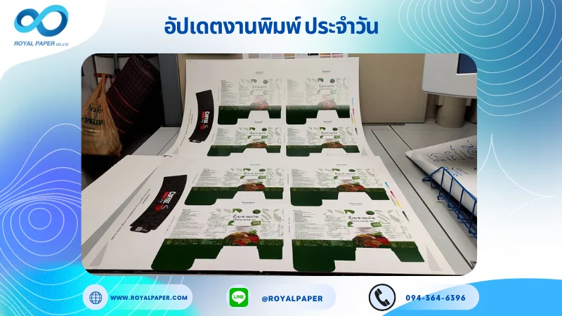 อัปเดตงานพิมพ์เลย์ร่วม วันที่ 11 ต.ค. 67 กล่องใส่สมุนไพร ปลอกแก้ว ใช้กระดาษอาร์ตการ์ด 350 แกรม ขนาด 28 x 20 นิ้ว เคลือบเงา พิมพ์ด้วย ระบบ OFFSET 4 สี