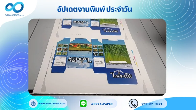 อัปเดตงานพิมพ์เลย์เดี่ยว วันที่ 22 ต.ค. 67 กล่องใส่ยาบำรุงต้นพืช ใช้กระดาษอาร์ตการ์ด 350 แกรม ขนาด 25 x 18 นิ้ว เคลือบเงา พิมพ์ด้วย ระบบ OFFSET 4 สี