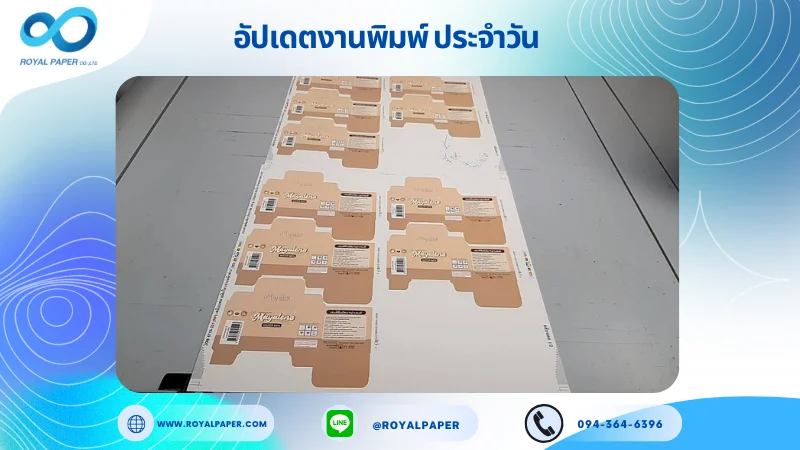 อัปเดตงานพิมพ์เลย์เดี่ยว วันที่ 31 ต.ค. 67 กล่องใส่คอนแทคเลนส์ ใช้กระดาษอาร์ตการ์ด 350 แกรม ขนาด 15.5 x 14 นิ้ว เคลือบพลาสติกใส เจาะหน้าต่าง พิมพ์ด้วย ระบบ OFFSET 4