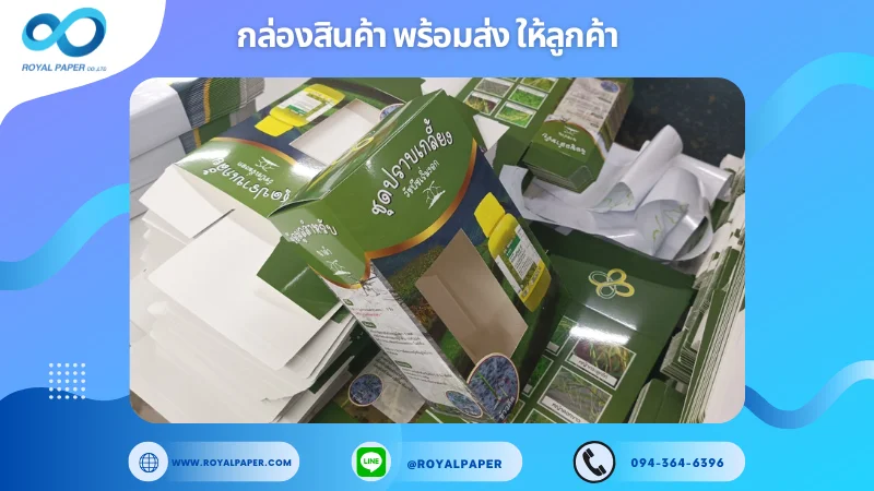 อัปเดตงานพร้อมส่งวันที่ 30 พ.ย. 67 กล่องบรรจุภัณฑ์ทางการเกษตร ขอขอบคุณที่เลือกผลิตกับเราที่โรงพิมพ์ รอยัลเปเปอร์