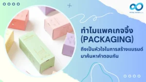 แพคเกจจิ้ง (Packaging) สีพาสเทลสดใส