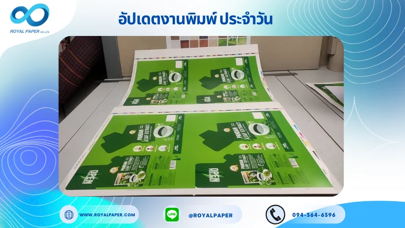 อัปเดตงานพิมพ์เลย์เดี่ยว วันที่ 9 พ.ค. 68 กล่องใส่น้ำใบเตย ใช้กระดาษอาร์ตการ์ด 350 แกรม ขนาด 25 x 18 นิ้ว เคลือบเงา พิมพ์ด้วยระบบ OFFSET 4