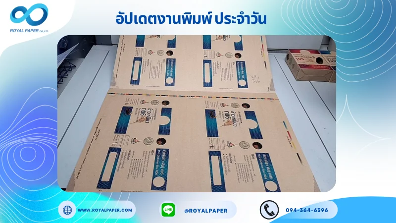 อัปเดตงานพิมพ์เลย์เดี่ยว วันที่ 05 มิ.ย 68 กล่องใส่ขาว ใช้กระดาษอาร์ตคราฟท์ 345 แกรม ขนาด 25 x 18 นิ้ว เคลือบ เคทองเงา พิมพ์ด้วยระบบ OFFSET 4