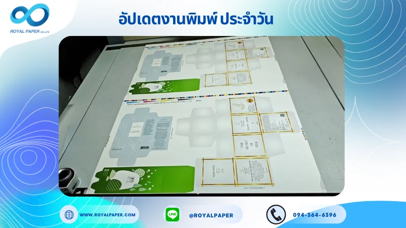 อัปเดตงานพิมพ์เลย์ร่วม วันที่ 11 พ.ย. 68 กล่องเซรั่ม กล่องครีม ใช้กระดาษอาร์ตการ์ด 350 แกรม เคลือบด้าน ขนาด 21.5 X 15.5 นิ้ว พิมพ์ด้วยระบบ OFFSET 4 สี
