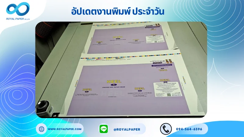 อัปเดตงานพิมพ์เลย์เดี่ยว วันที่ 20 พ.ย. 68 กล่องใส่ยา ใช้กระดาษอาร์ตการ์ด 350 แกรม เคลือบเงา ขนาด 21.5 X 15.5 นิ้ว พิมพ์ด้วยระบบ OFFSET 4 สี